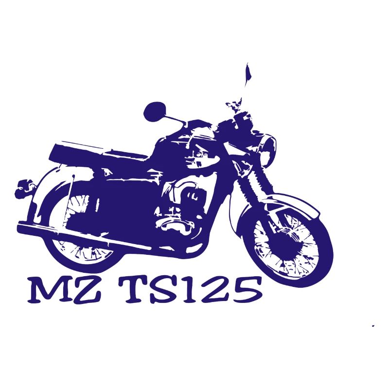 MZ TS125