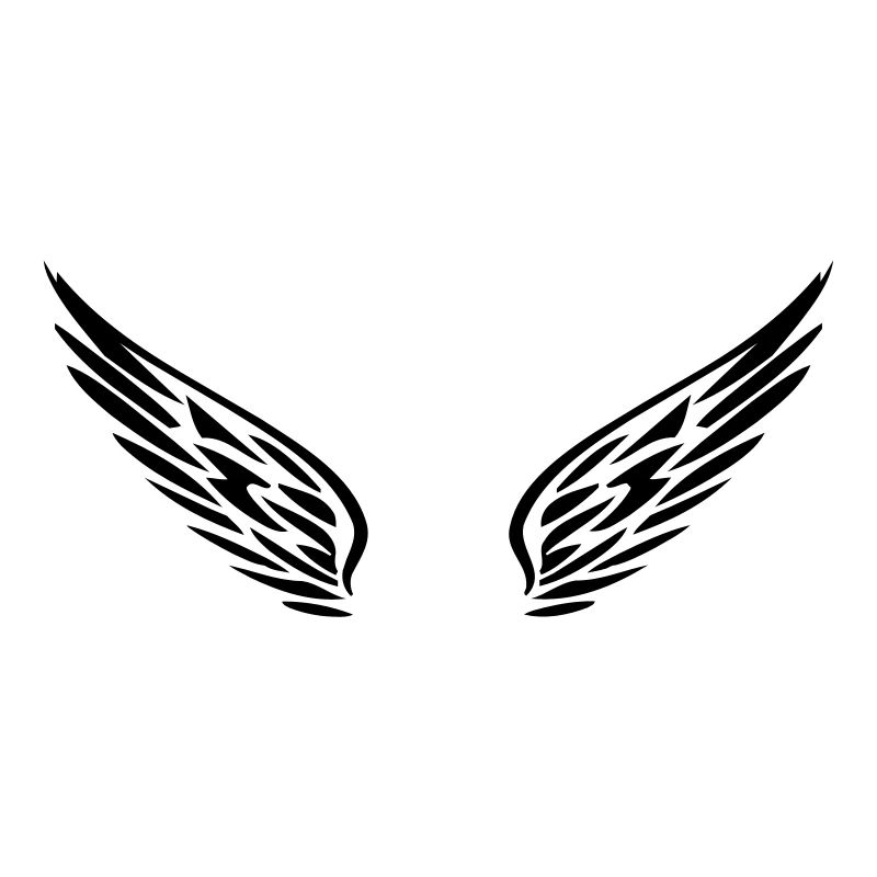 Wings 3