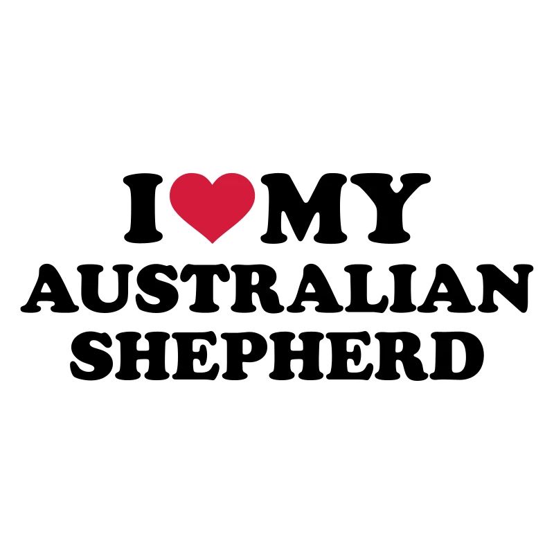 Australian shepherd