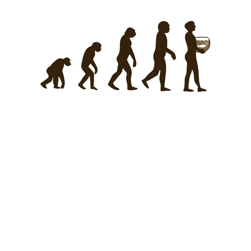 Évolution de l’aquarium