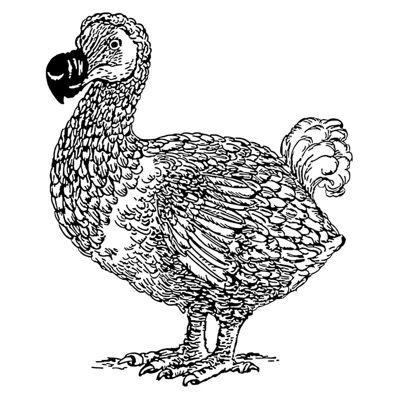 DODO Vogel