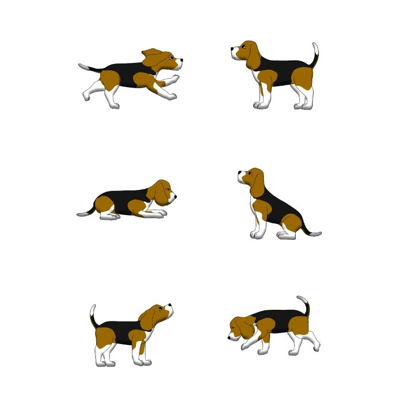 Beagle selection