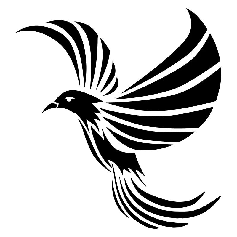 Phoenix by Dk