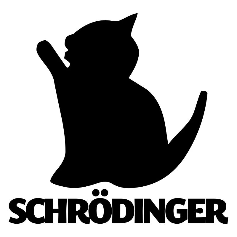 Chat de Schrödinger