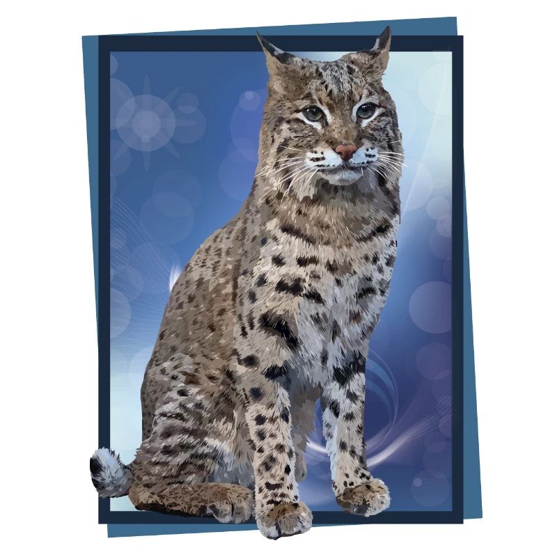 Lynx