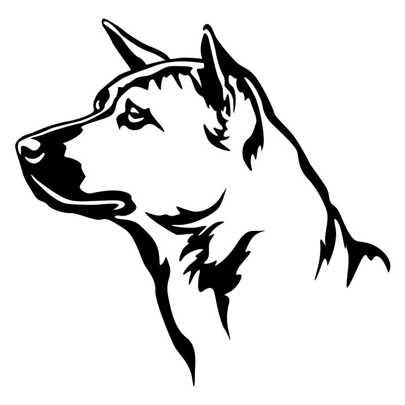 Thai Ridgeback Head