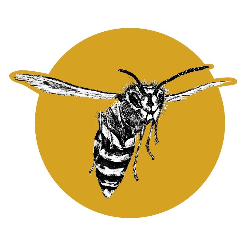 Wasp - Bee - Insect