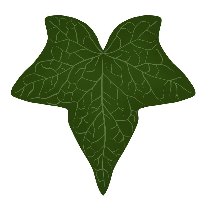 Elegant Green Ivy Leaf Pattern