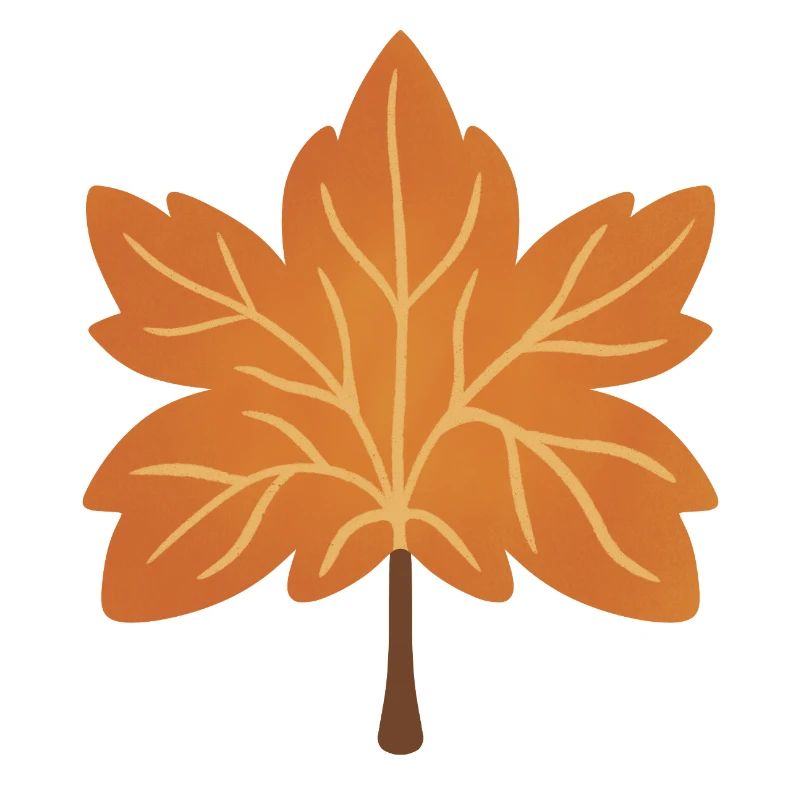 Silhouette de feuille d’érable d’automne