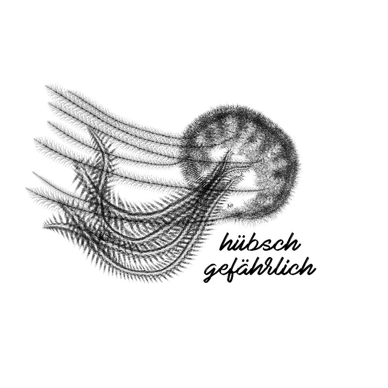 Méduses - assez dangereuses