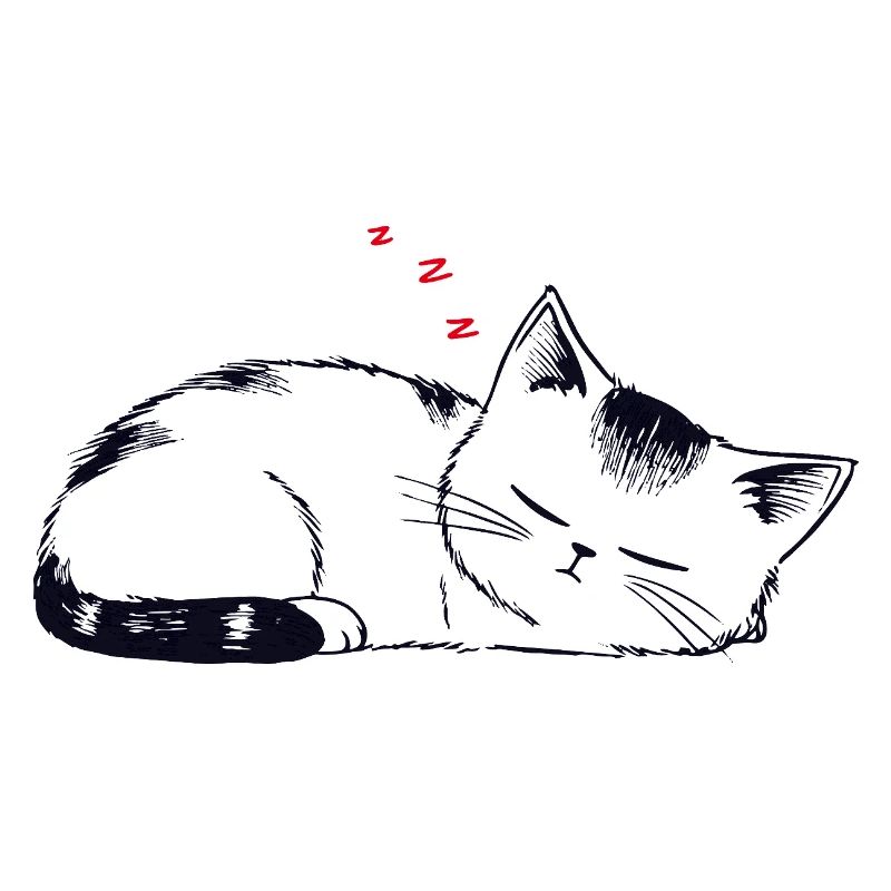 Stuffy sleeping cat