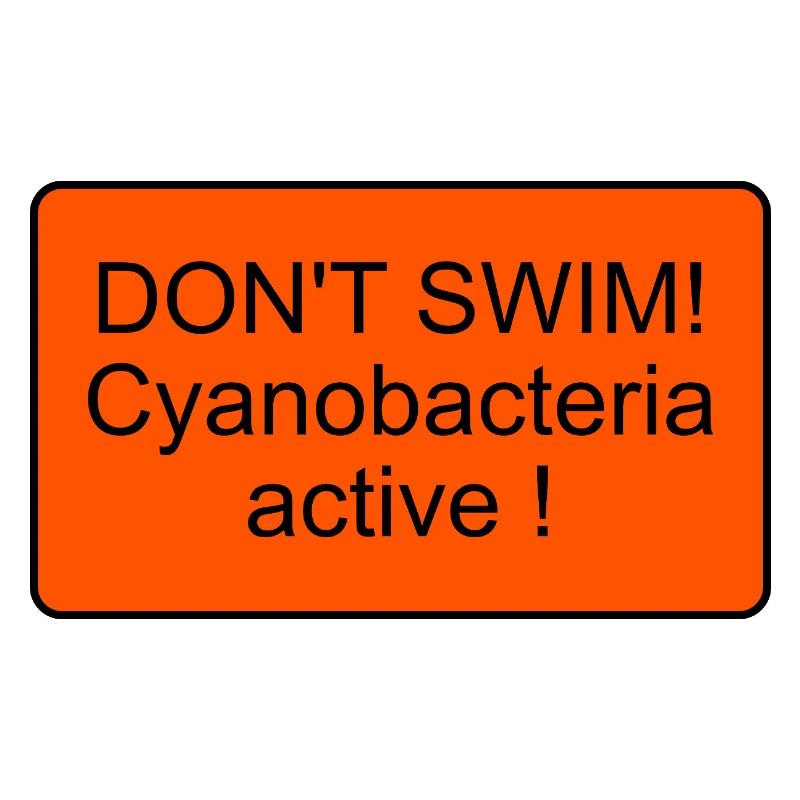 Cyanobactéries