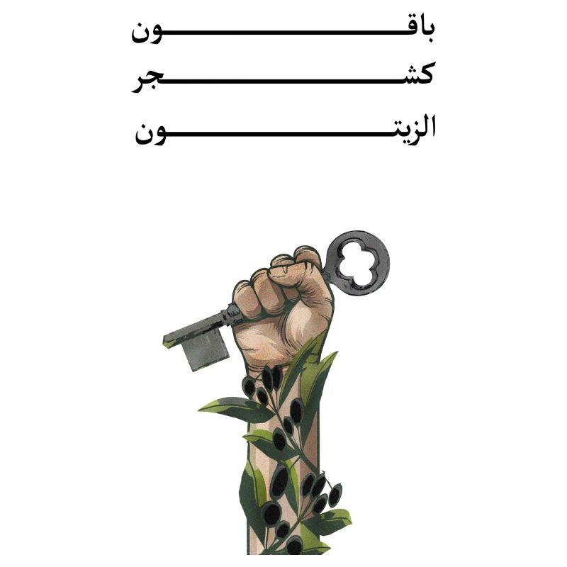 Solid like Oliven trees