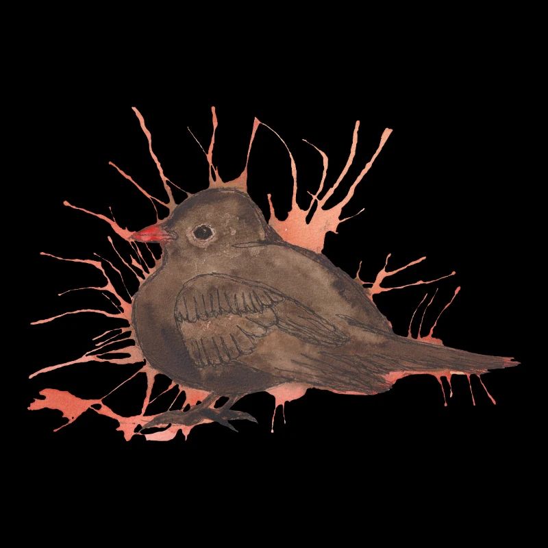 Krafttier der Woche Amsel