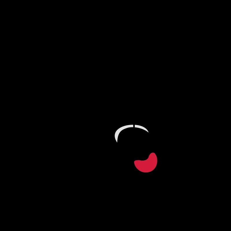 Cobweb spider insect