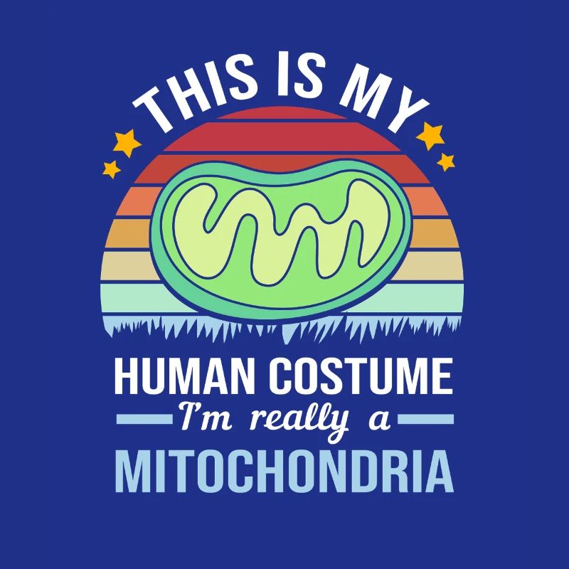 Molecule Structural Formula