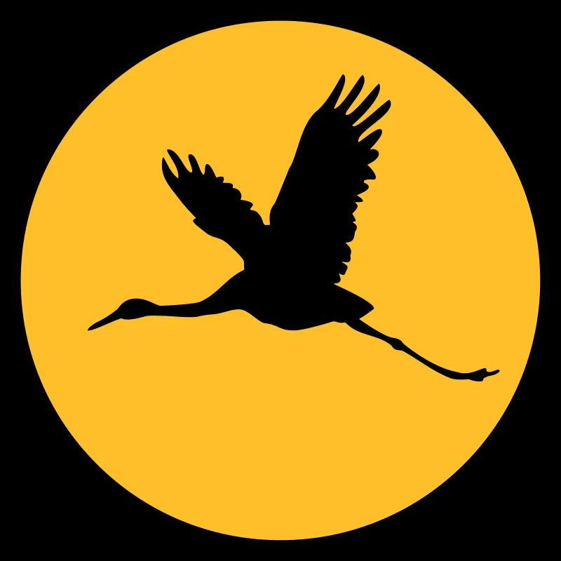 Storch 1