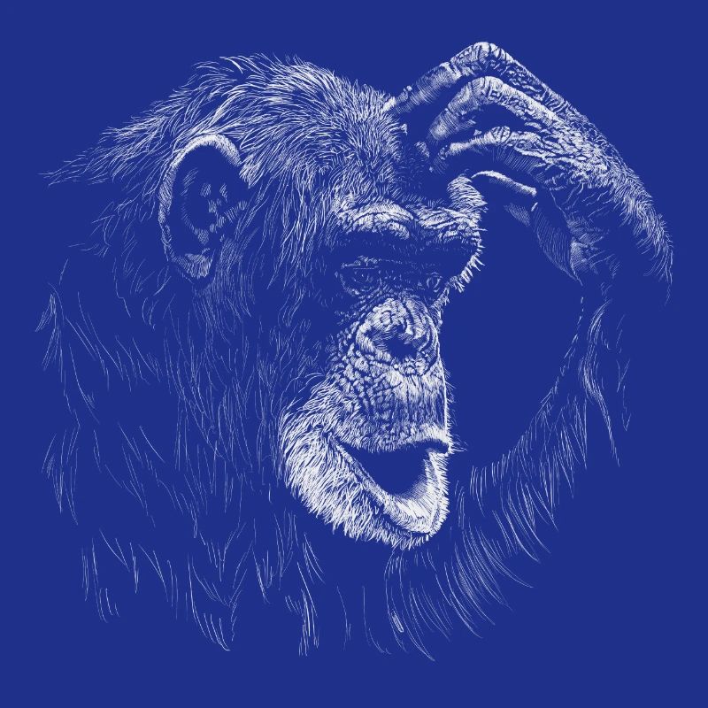 Affe