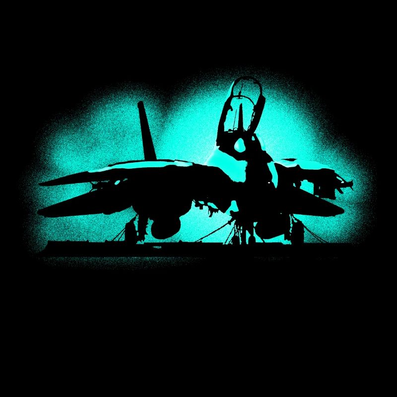 Jet Tomcat