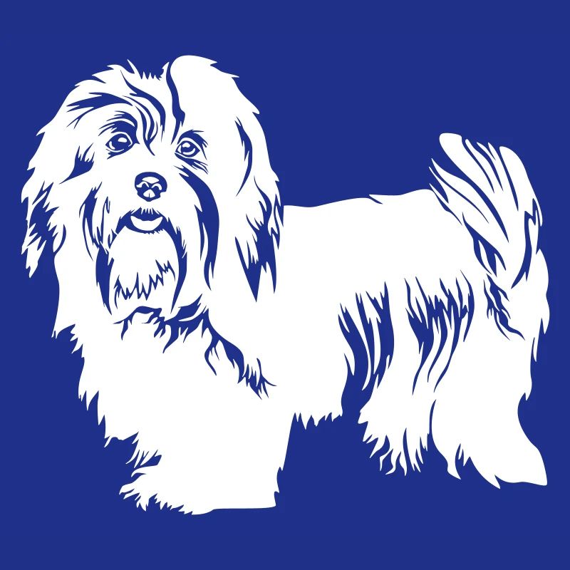 Havanese "Black Edition"