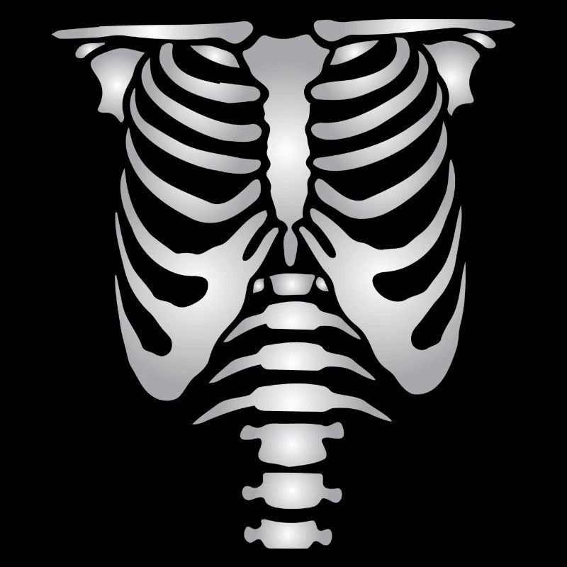 Human skeleton bones torso