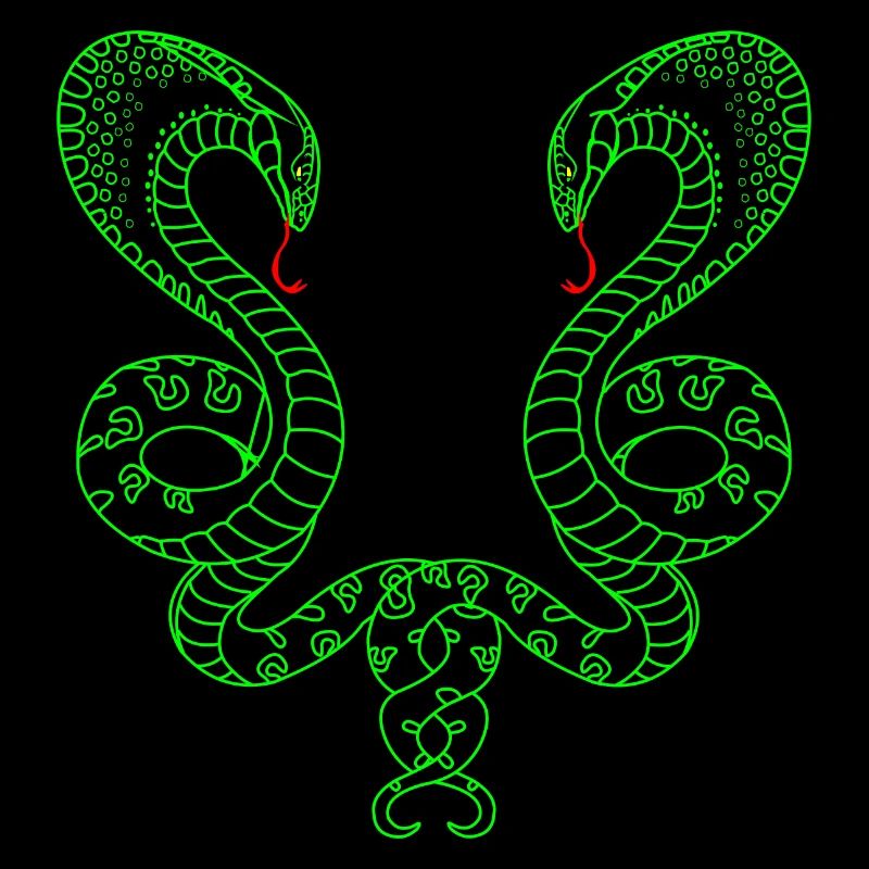 Deux serpents verts