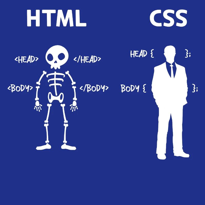 Code Css C++ Php Java Developer Code Skripting