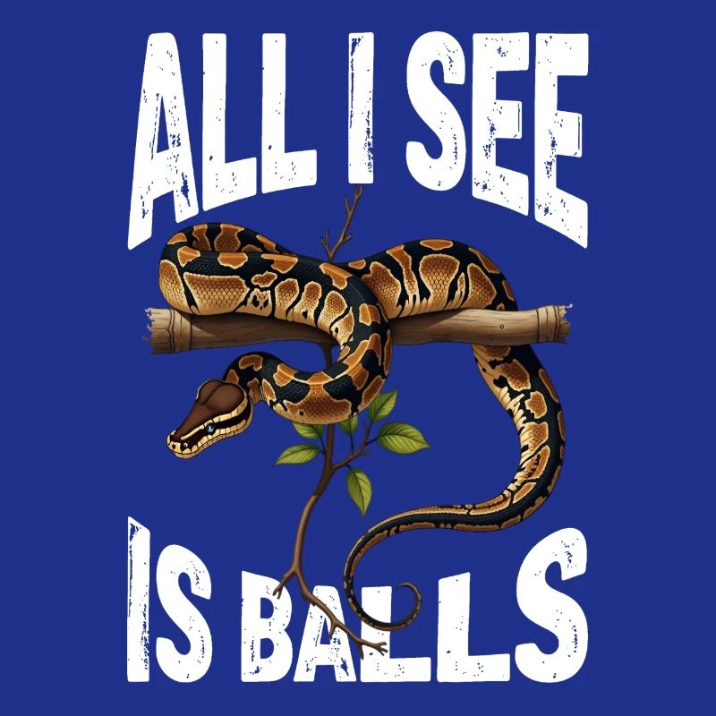 Python roi Serpents Amateurs de terrarium Python