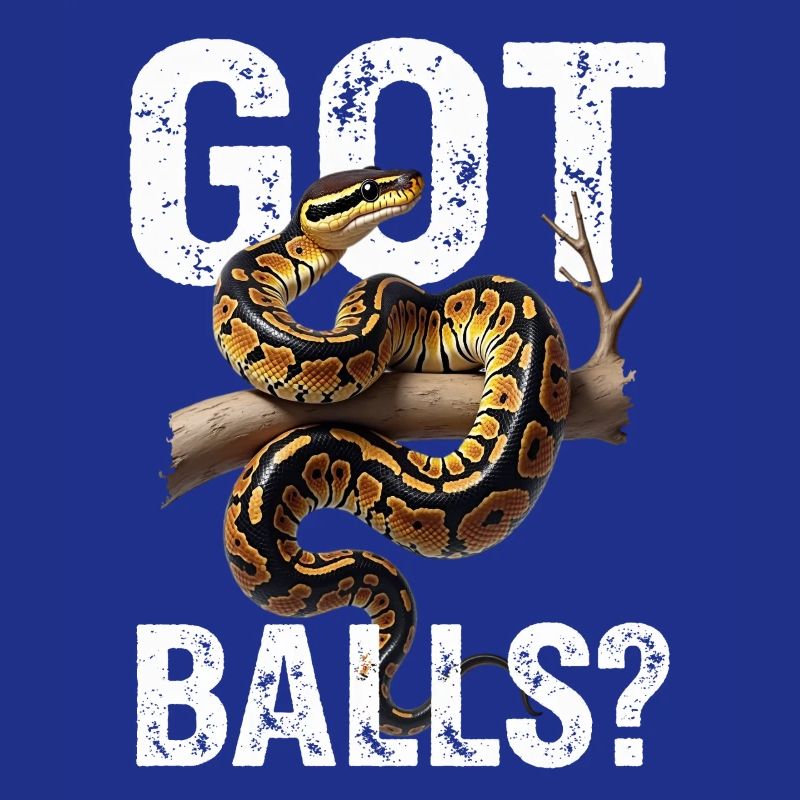 Python roi Serpents Amateurs de terrarium Python