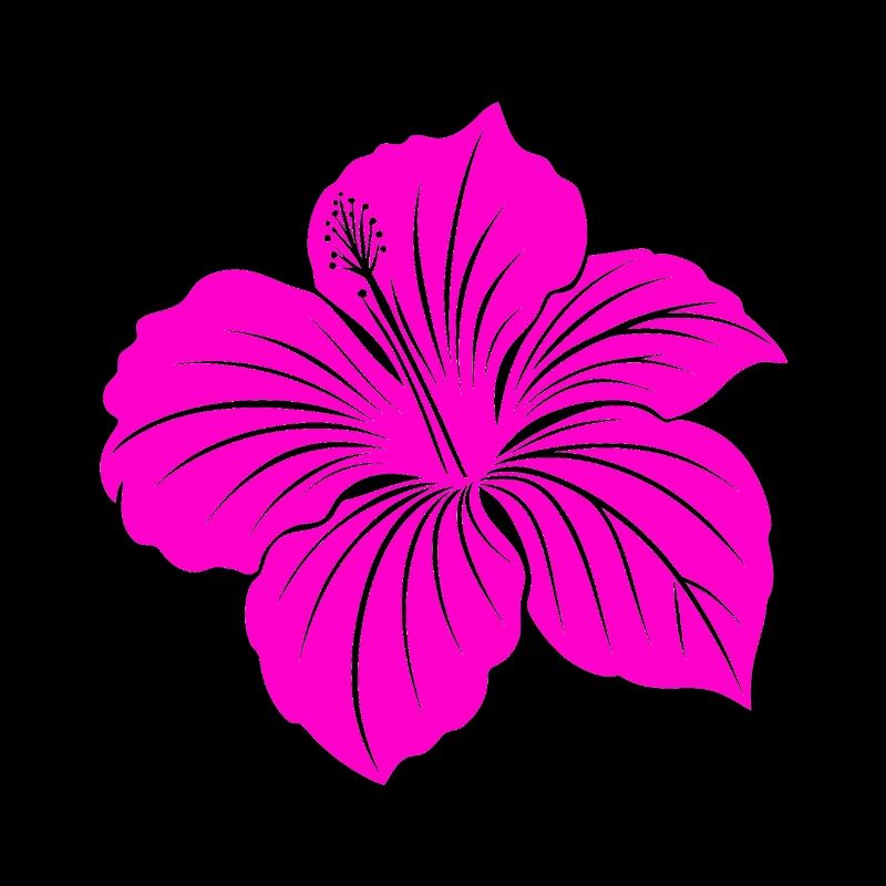 Hibiskusblüte