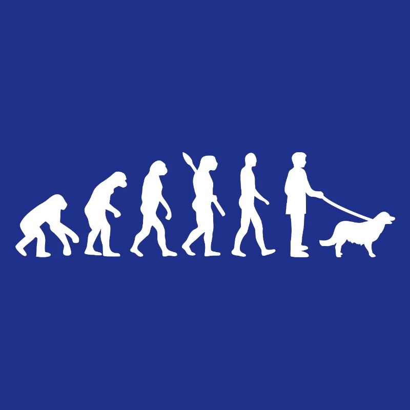 Évolution vers Promeneur de Chiens