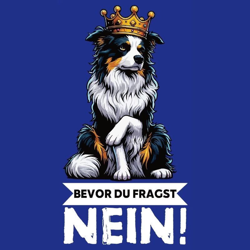 Bevor Du Fragst Australian Shepherd Aussie Aussie