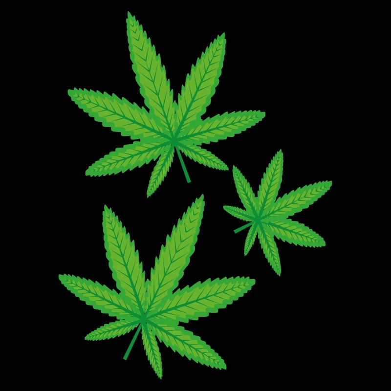 Feuilles de cannabis vertes