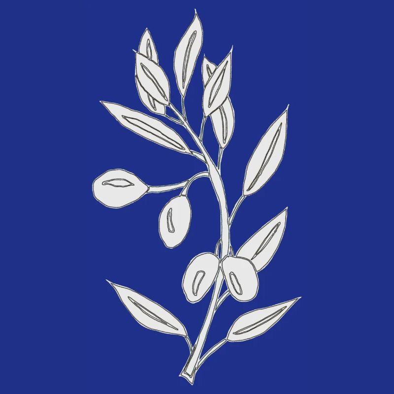 olive grau