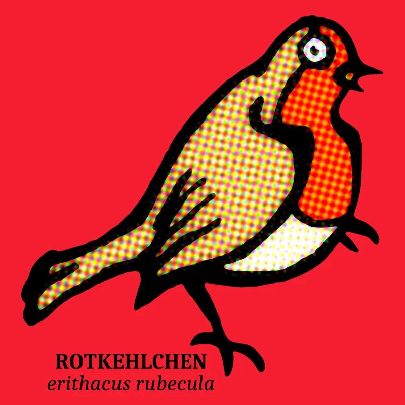 Robin Erithacus rubecula Garden Bird Party