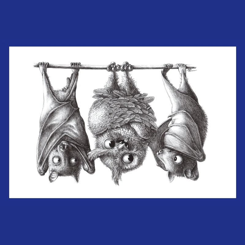 Vampire owl and bats