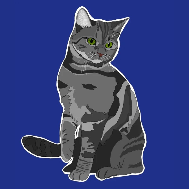 Chat gris