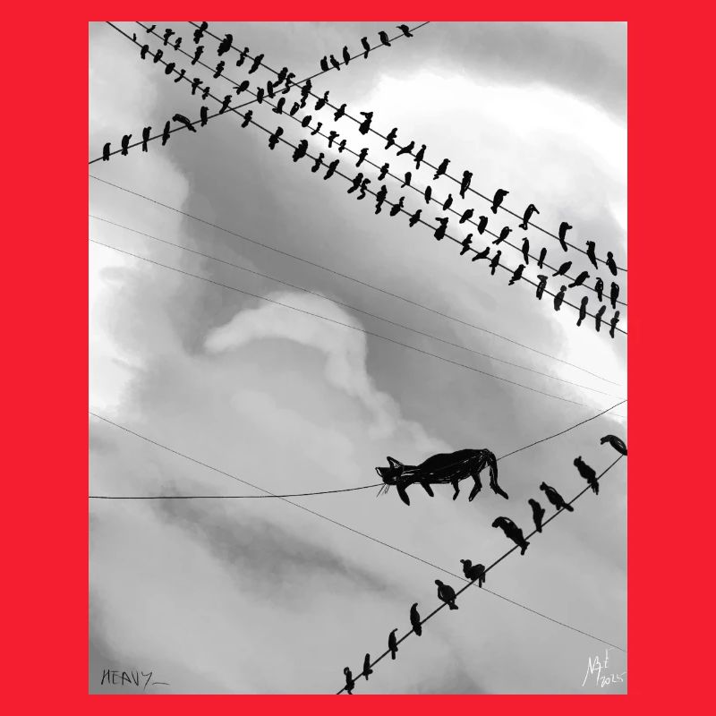 Chat monochrome sur lignes électriques