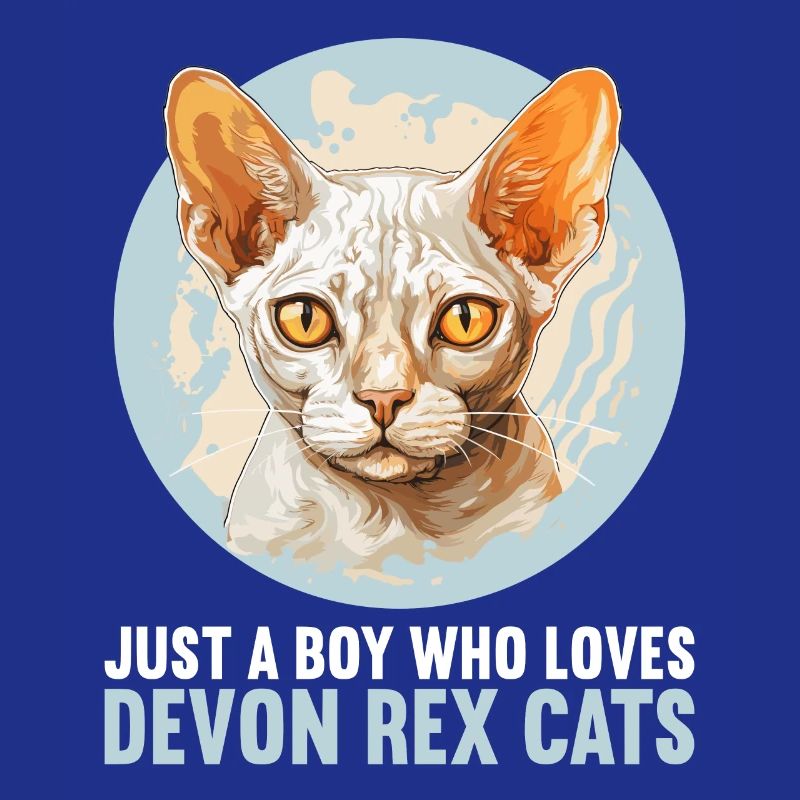 Chaton Devon Rex Chat Devon Rex