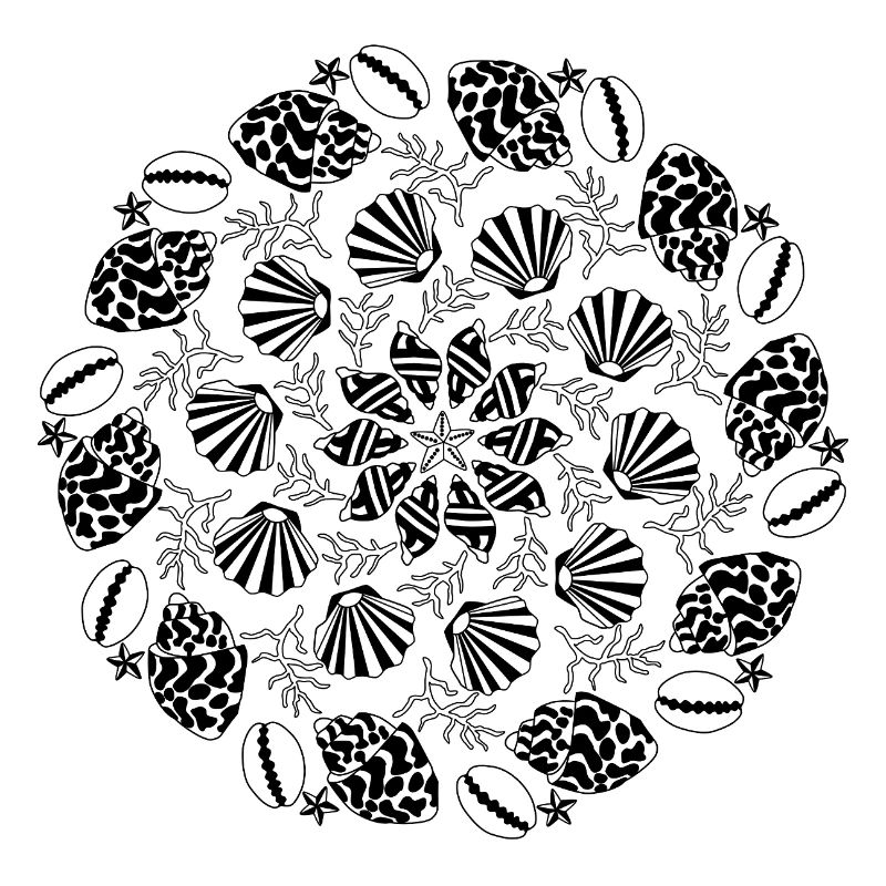 Shell Mandala noir et blanc