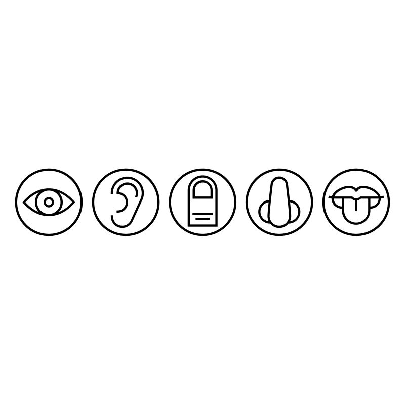 Five Senses, Sensory Organs, Medicine