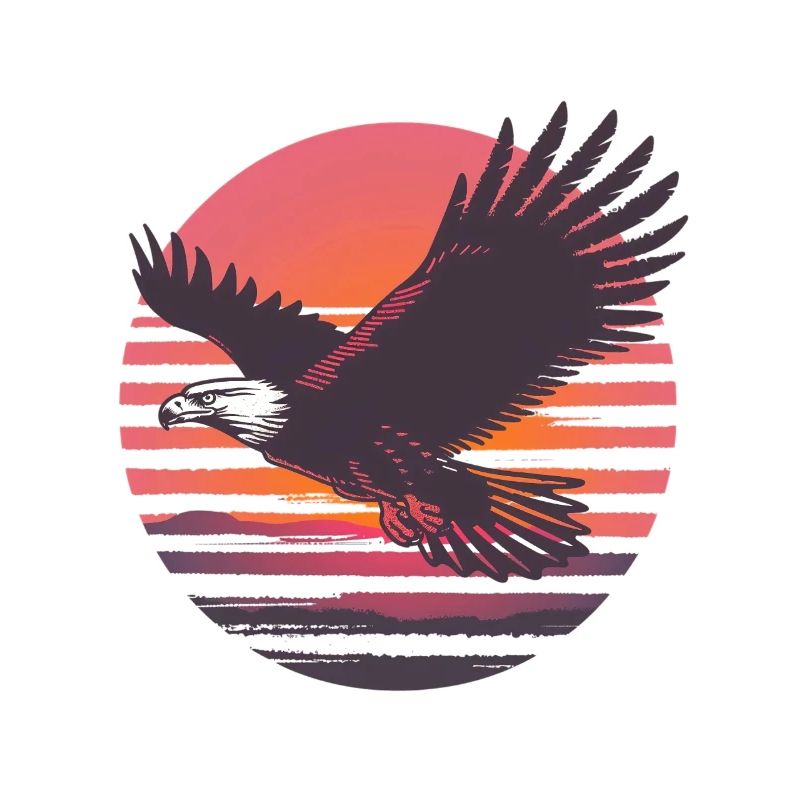 Eagle in flight before sunset