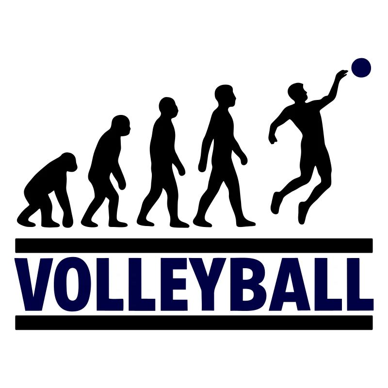 Evolution Volleyball Smash Sport Geschenk