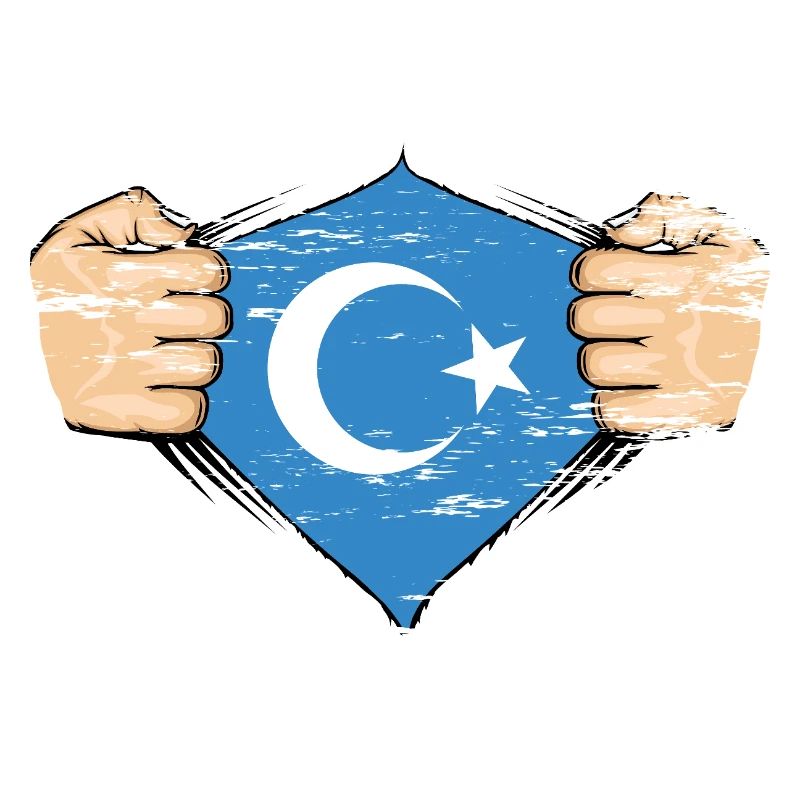 Design de drapeau ouïghour utilisé
