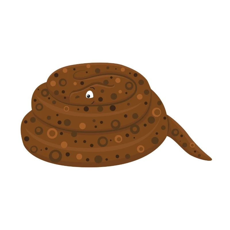 Felsenpython