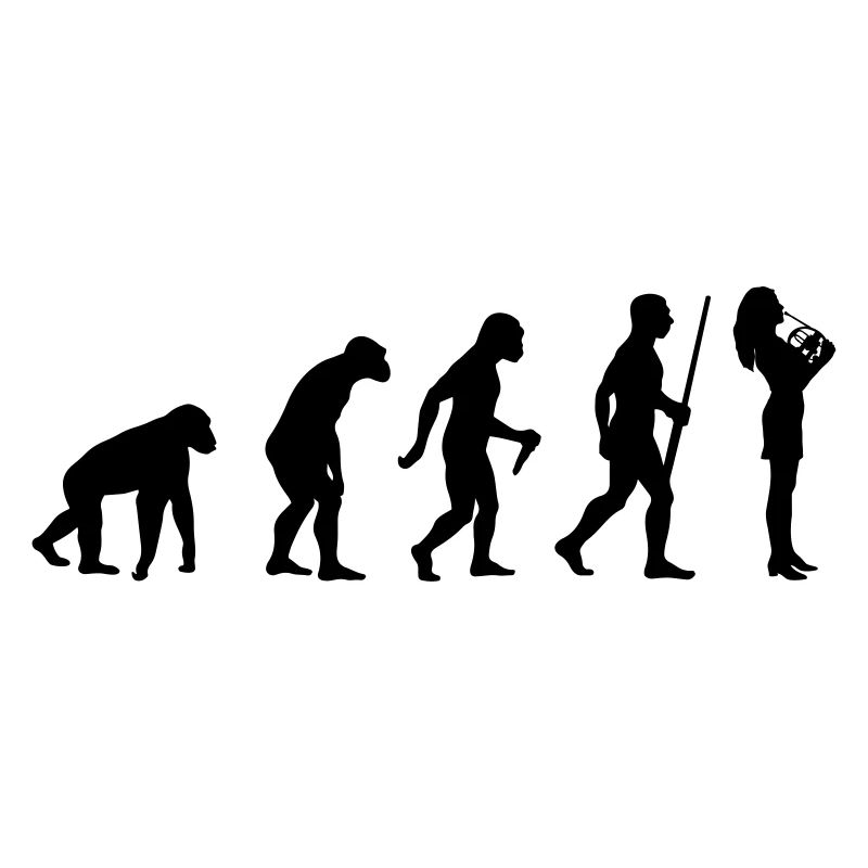 Évolution de la corne de brume