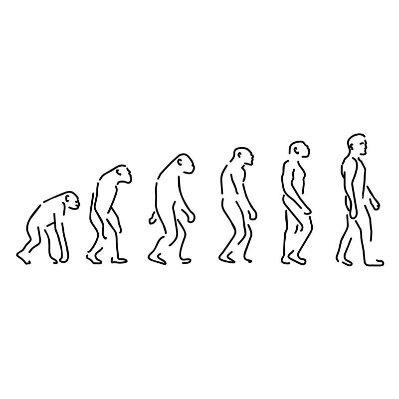 the evolution