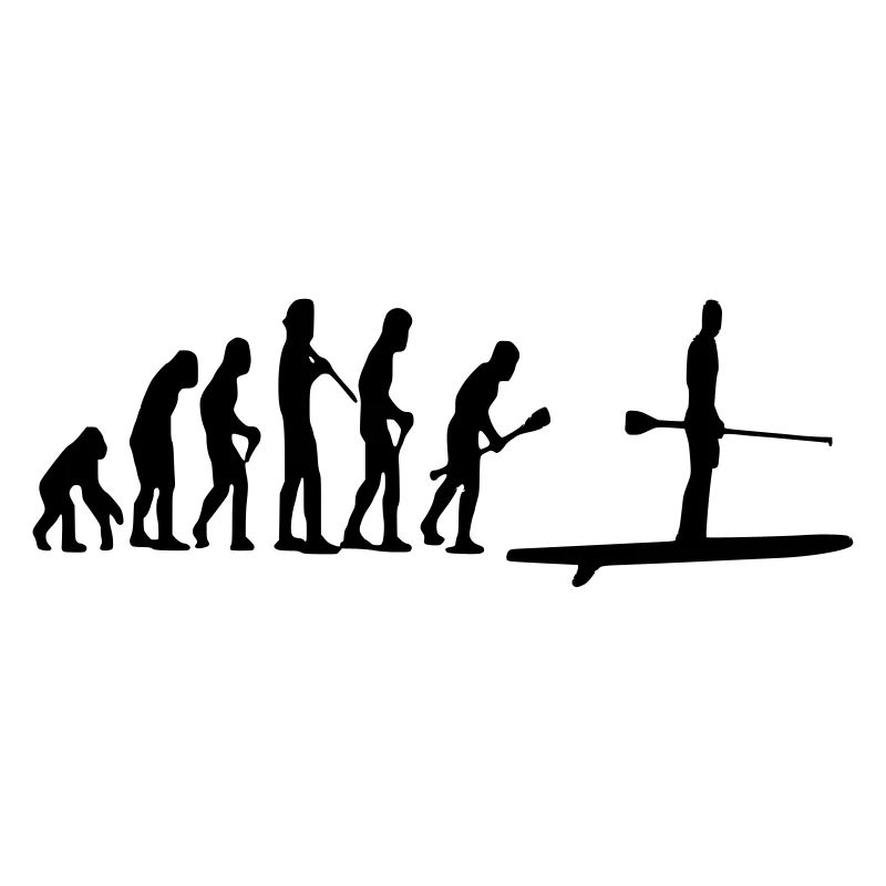 Paddle Evolution