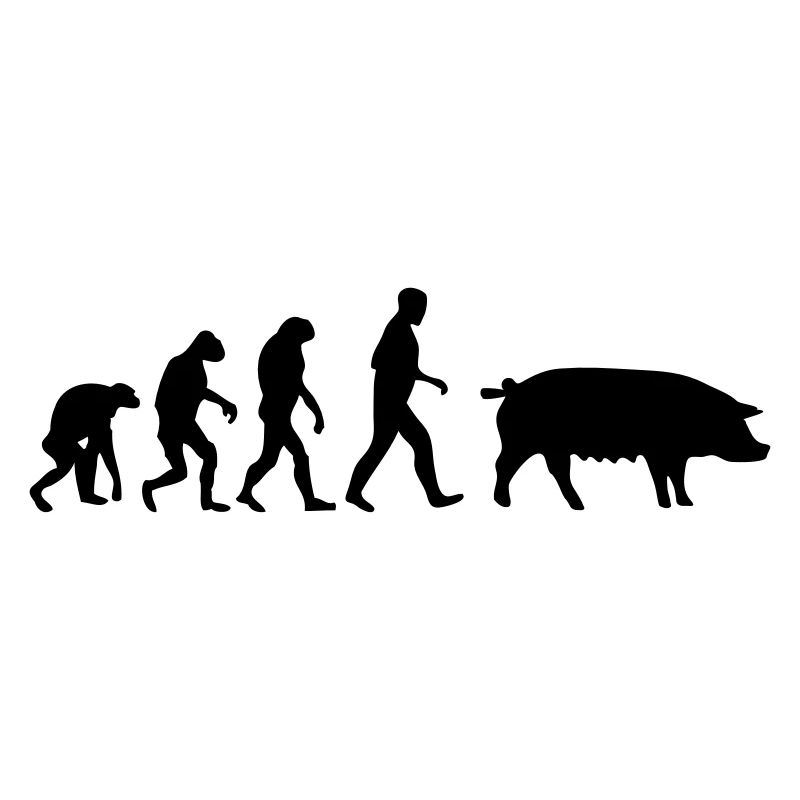 pig evolution