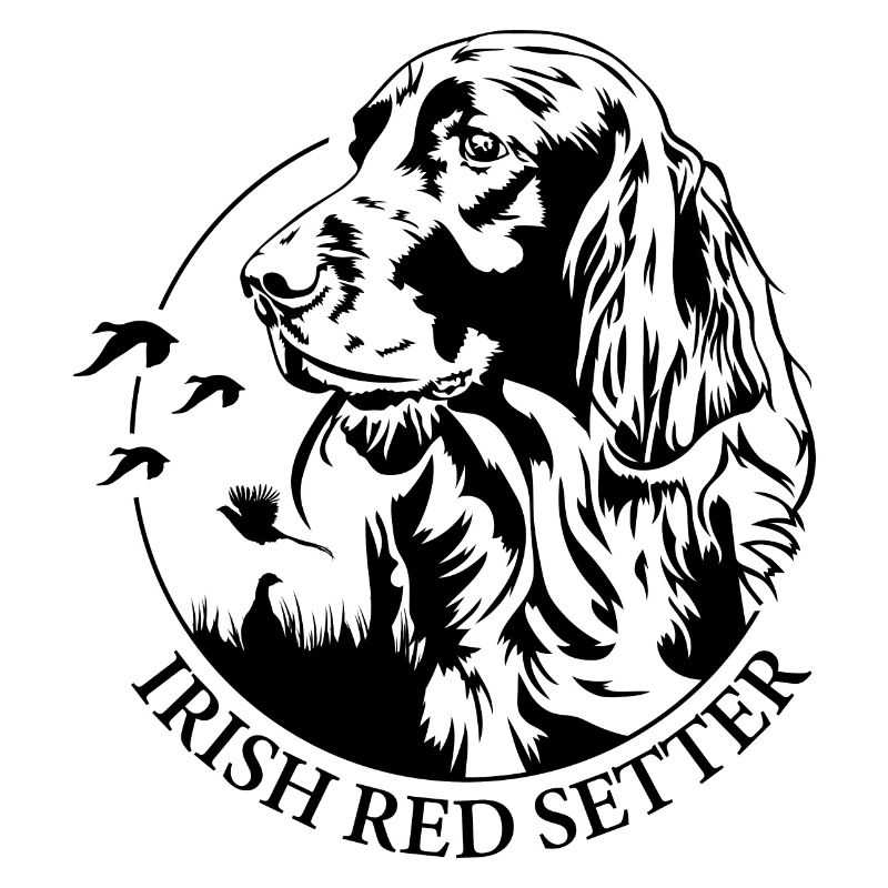 Irish Red Setter Jagdhund Jagdhunde Hunde Wilsigns